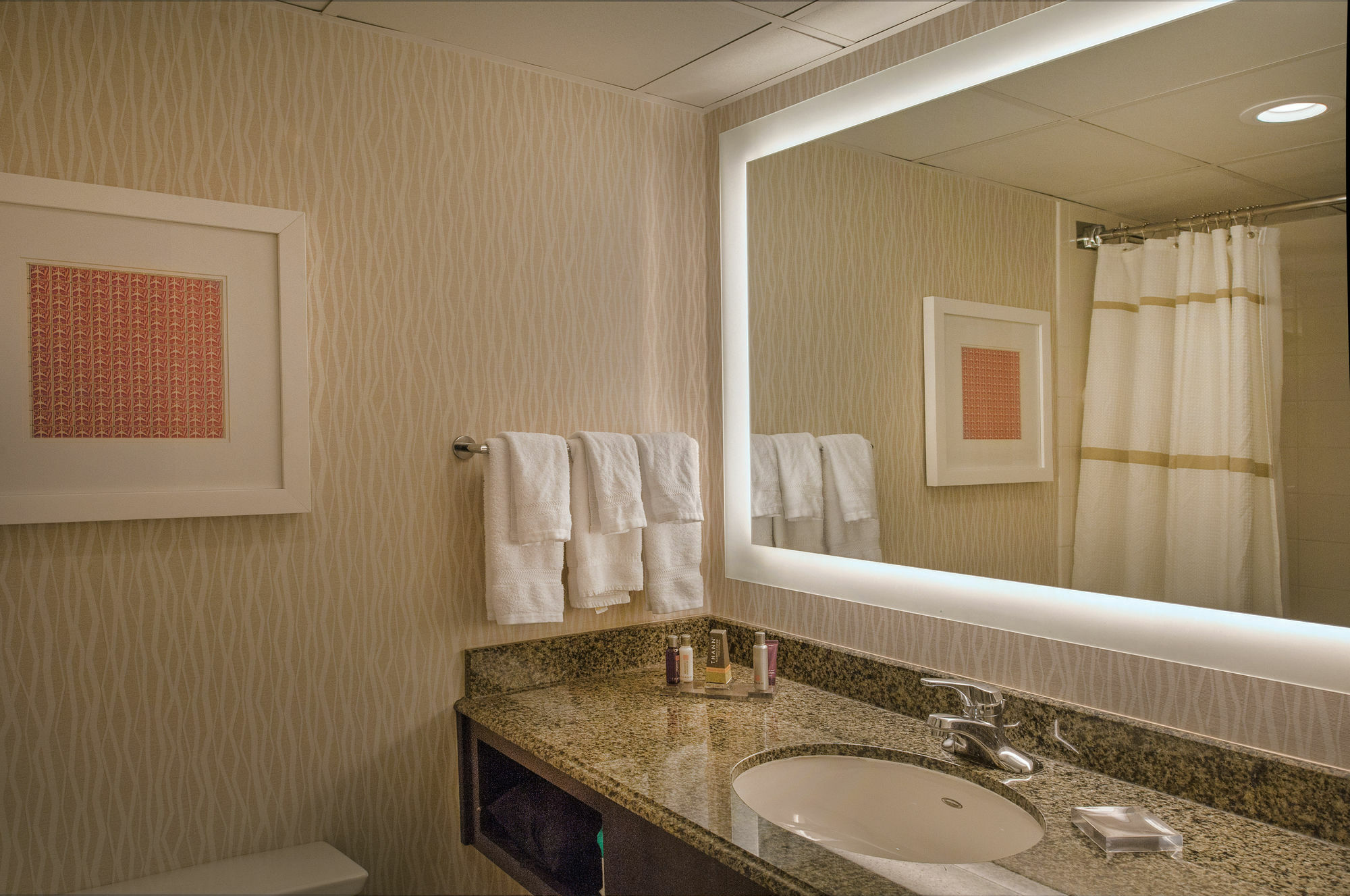 Marriott St. Louis Airport Hotell Edmundson Exteriör bild
